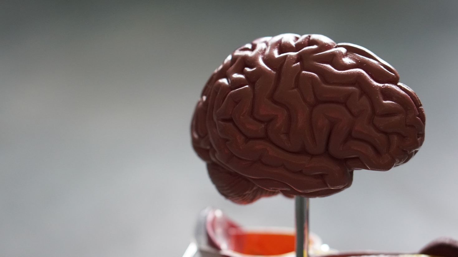 Como Apoiar um Parente com Alzheimer?