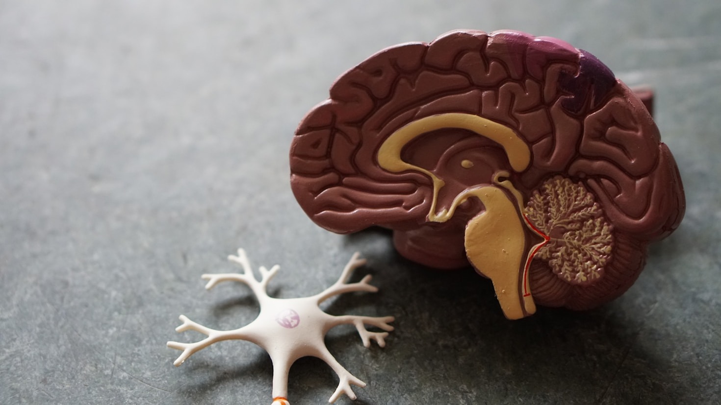 Os Primeiros Sinais do Alzheimer: O Que Observar